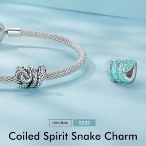 Sterling silver Spiritual animal snake charm, twisting snake charm, original s925 cz charm hole 4.5mm for bracelet, necklace pendant