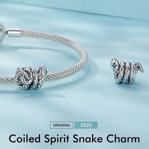 Sterling silver Spiritual animal snake charm, twisting snake charm, original s925 cz charm hole 4.5mm for bracelet, necklace pendant