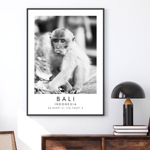 Bali Monkey Print: Minimalist Nature Wall Art