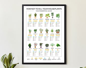 How Not To Kill Your Houseplants Poster - Houseplants Essential Care Guide - Sunlight, Watering, Temperature, Feeding, Humidity Info