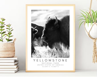 Yellowstone National Park Poster - Yellowstone Wall Art Print - United States National Park Print - Yellowstone Printable Art - Bison Print