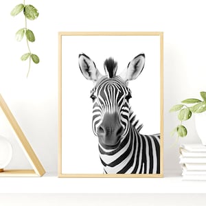 Framed Zebra Print In Black and White, Modern Simplistic Bathroom/Bedroom Home Decor