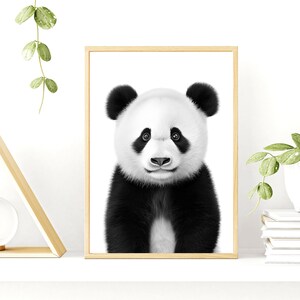 Panda Print In Black and White, Modern Simplistic Bathroom/Bedroom Home Decor