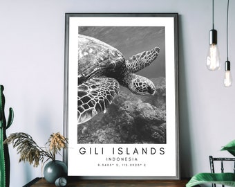 Gili Islands Wall Art Printable - Island Printable Art - Beach Photography Print - Travel Wall Art - Minimalist Travel Print Art - Bali