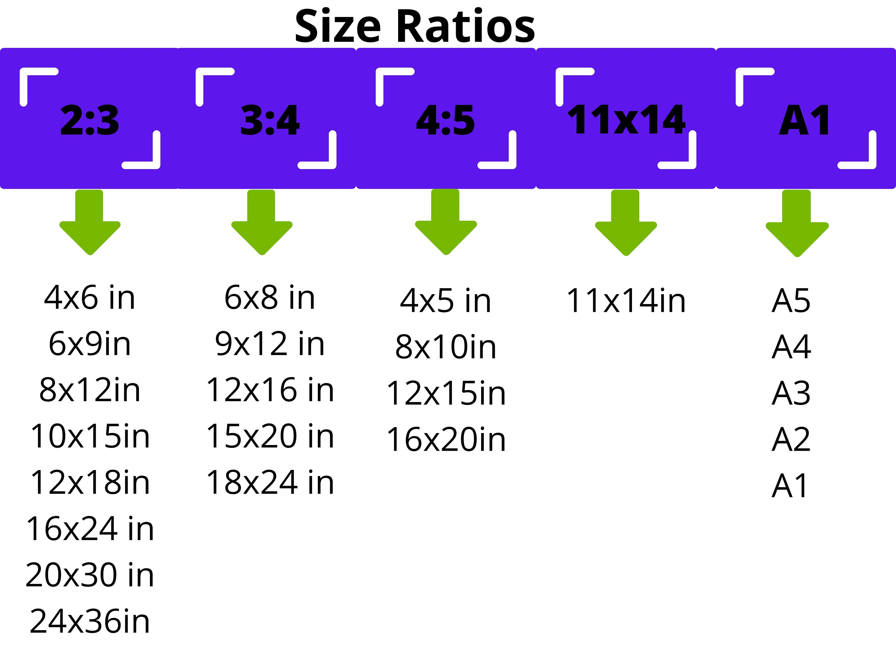 BLACK WALL ART / Plant Art / Boho Art / Black Art Decor / Printable