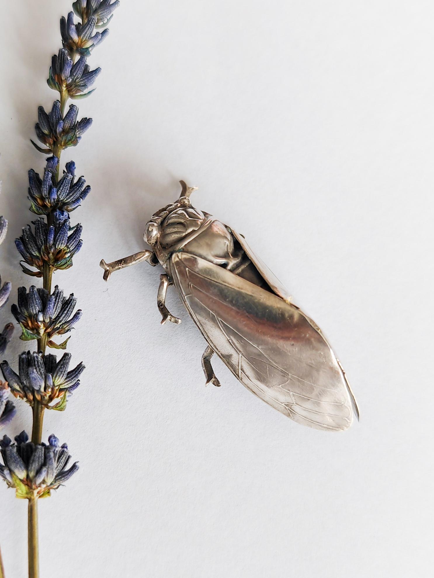 Cigale france France