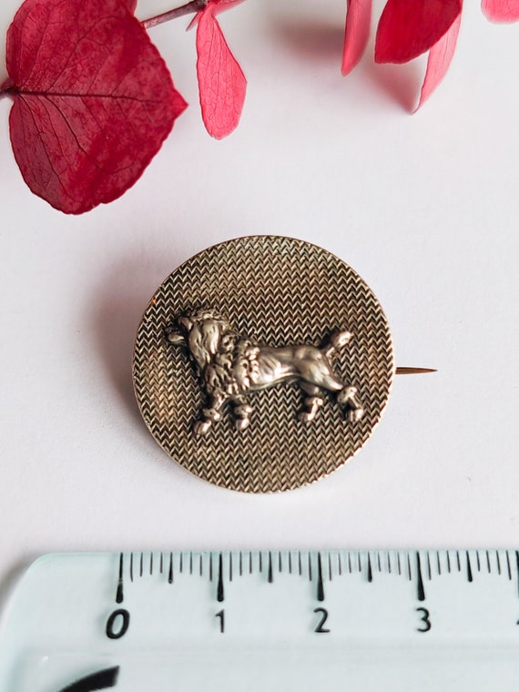 Bijoux de chien caniche - France