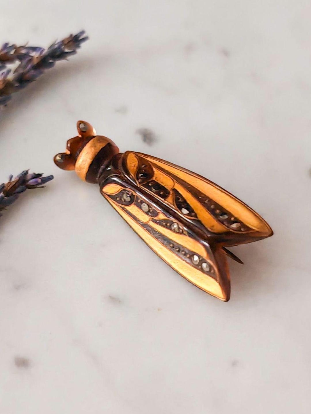 Broche Ancienne Cigale En Plastique - Style Art Nouveau/Art Déco - Occasion
