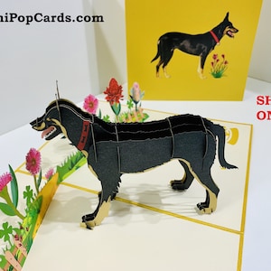 Black Australian Kelpie Dog 3D Birthday Greeting Card - Origami Handmade Birthday Card Shop https://origamipopcards.com/ 3D Pop Up Aussie