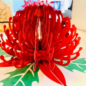 RED Waratah Australian Native Flower - Created by Origami Pop Cards - 3D Pop Up Greeting Paper Card - OrigamiPopCards.com Wild Australiana
