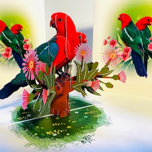 Doble loro rey australiano con eucaliptos en flor - Tarjetas de origami 3D emergentes. ¡Feliz cumpleaños, gracias! Regalos australianos.
