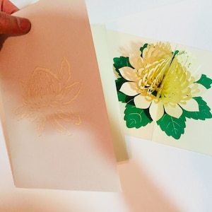 White Waratah Australian Native Flower - erstellt von Origami Pop Cards Sydney 3D Papier Pop Up Karten OrigamiPopCards.com Hand Made with Love