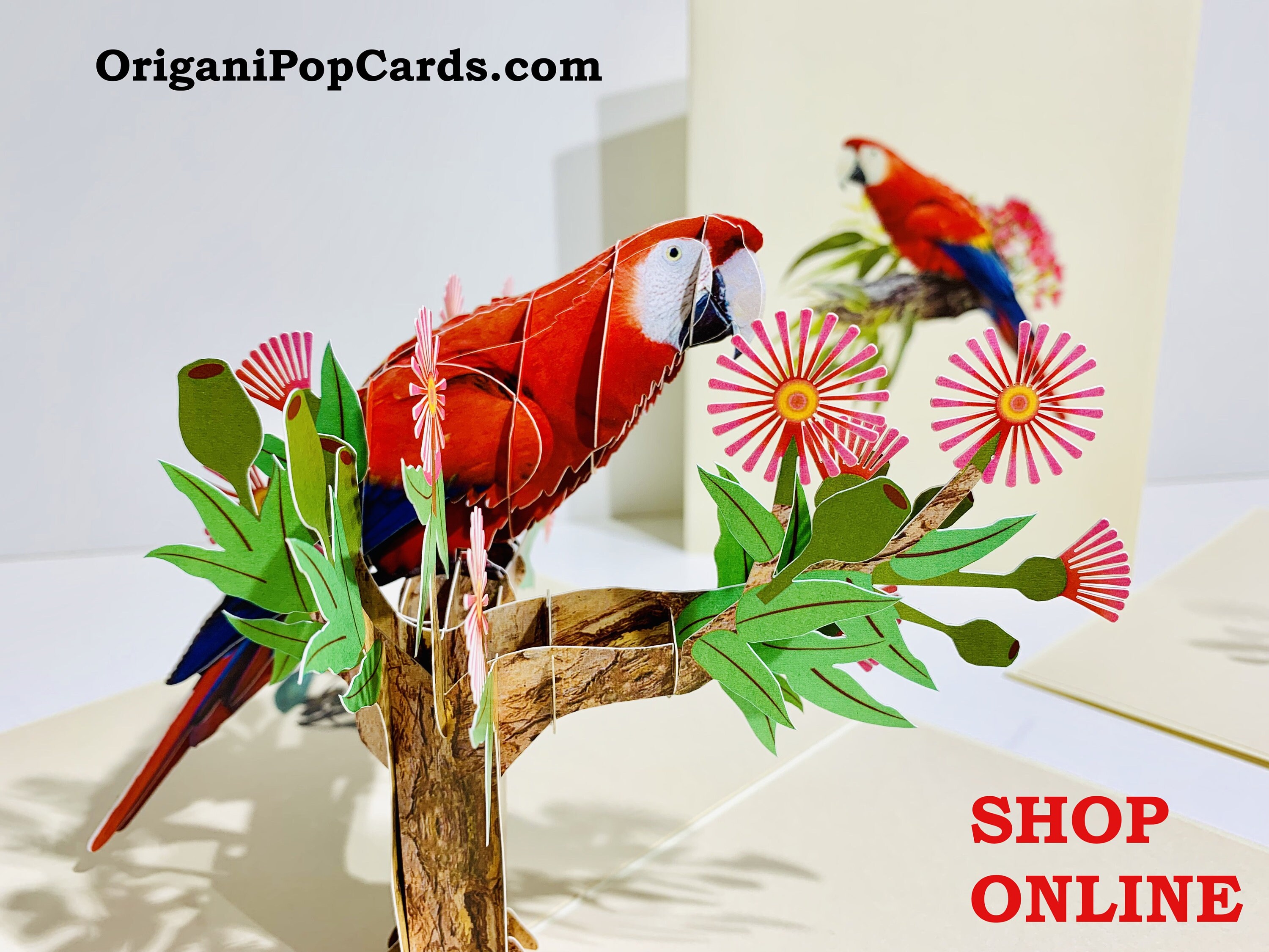 Parrot clearance shopping online