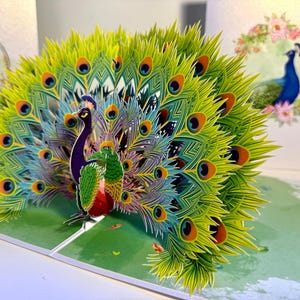 May include: A 3D pop-up card depicting a peacock with its tail feathers fanned out in a vibrant array of colours. The peacock is standing on a green grassy surface. The card is crafted from paper and is a lovely and distinctive way to express your feelings.