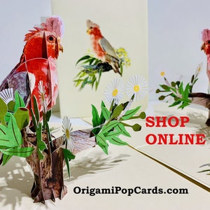 Splendido cacatua galah, uccello australiano, biglietto di auguri creato da Origami Pop Cards, Sydney, Australia, biglietti pop-up in carta 3D OrigamiPopCards.com