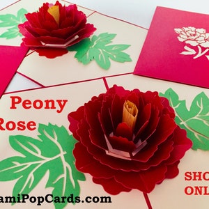 Große Pfingstrose und rote Rose Karte - Original von Origami Pop Cards, Sydney Australia - 3D Pop Up Karten - OrigamiPopCards.com Hand Made with Love