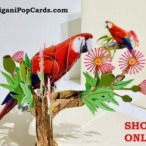 Rosella Papagei Vogel Karte Erstellt von Origami Pop Cards, Sydney Australia 3D Papier Pop Up Karten OrigamiPopCards.com Hand Made with Love