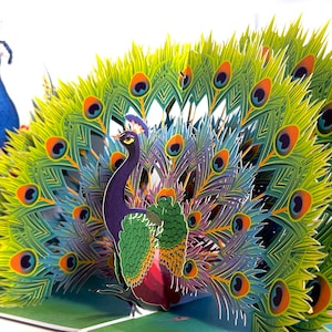 May include: A colorful pop-up card featuring a peacock with its tail feathers fully displayed. The peacock has a purple body, green and red accents, and vibrant green, blue, and orange feathers. Another peacock is visible in the background.