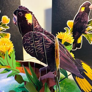 Yellow-Tailed Black Cockatoo Australian Bird Golden Gum Blossoms Origami Pop Cards 3D Pop Up Greeting Card Happy Birthday Australiana Gifts