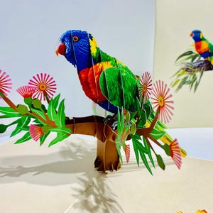 May include: A colorful 3D pop-up card featuring a vibrant parrot perched on a brown branch with pink flowers and green leaves. The parrot has blue, green, yellow, and red feathers. Another parrot is visible in the background.