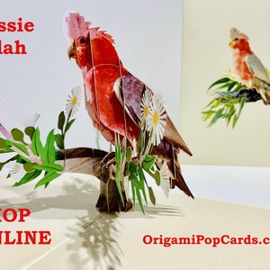 Puede incluir: Una tarjeta pop-up 3D con un loro Galah rosa y gris posado en una rama con flores blancas. La tarjeta se titula "Aussie Galah" e incluye el texto "SHOP ONLINE" y "OrigamiPopCards.com".