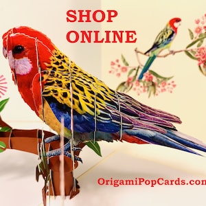 May include: A 3D pop-up card featuring a colorful parrot perched on a branch. The card is made of paper and has a realistic design. The text "SHOP ONLINE" and "OrigamiPopCards.com" are printed on the card.