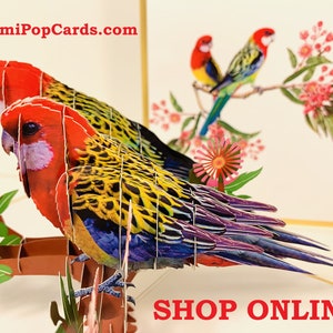 Tarjetas de felicitación de origami de lujo con diseño de pareja de loros rosella orientales y aves australianas, tarjetas de felicitación de cumpleaños, tienda https://origamipopcards.com/