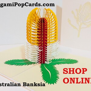 May include: A 3D pop-up card featuring a red and yellow Australian Banksia flower. The card is open and the flower is in the centre of the card. The card is on a white background. The text "SHOP ONLINE" is in red letters on the bottom right corner of the card.