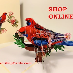 Couple cramoisi perroquet rosella oiseau australien avec fleur de gomme indigène origami cartes pop 3D pop up carte de voeux joyeux anniversaire amour fait main