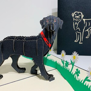 Cartão pop-up 3D com estampa de cachorro labrador preto criado pela Origami Pop Cards Sydney Austrália Cartões pop-up 3D de papel mágico - OrigamiPopCards.com