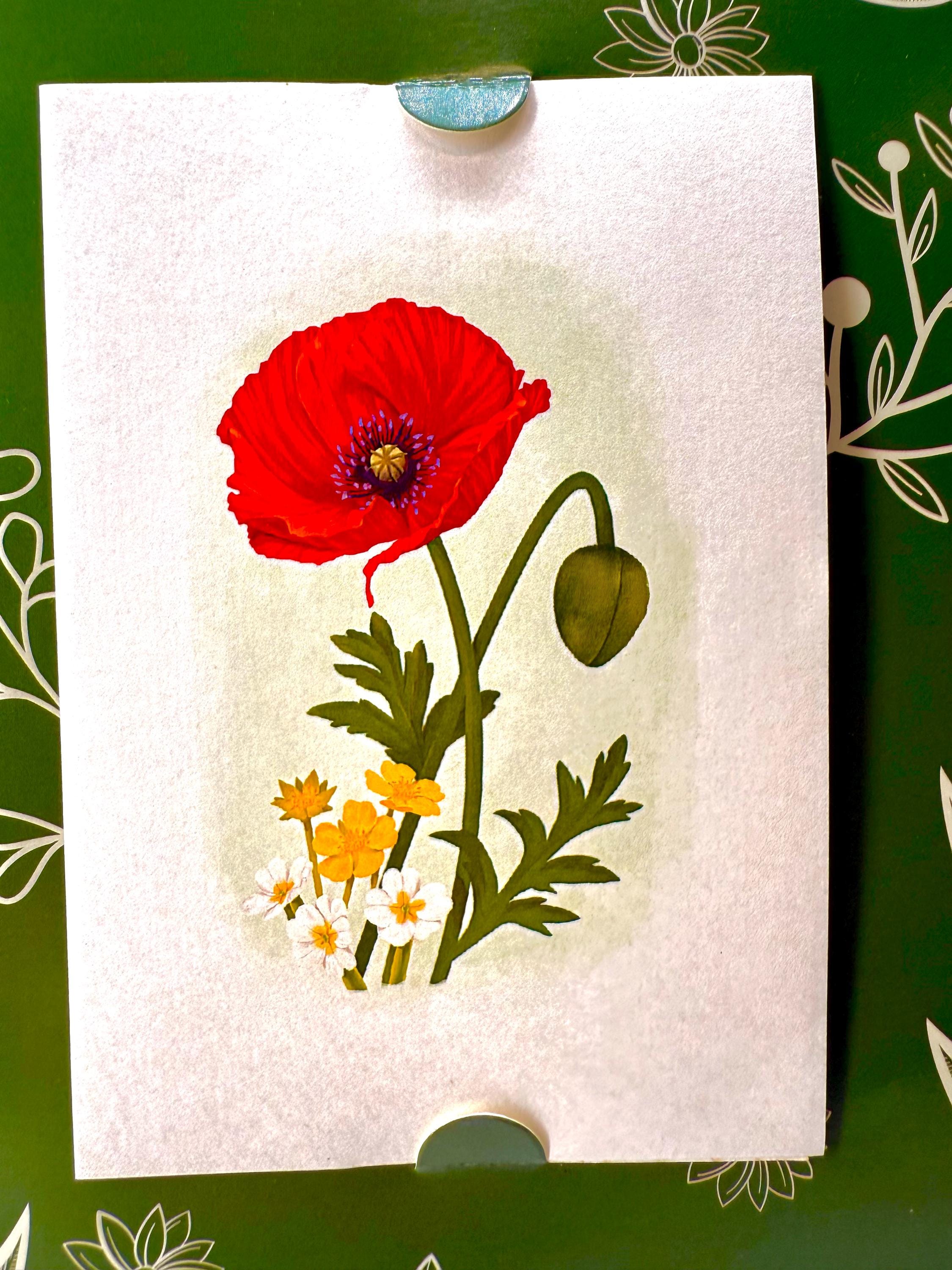 Red Poppy 3D Pop up Flower Bouquet - Anzac & Remembrance Day 3D Pop up ...