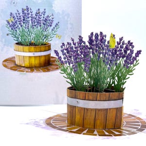 Puede incluir: Una tarjeta de felicitación desplegable con una planta de lavanda en un barril de madera. La lavanda tiene flores moradas y hojas verdes, con una mariposa amarilla. El barril se asienta sobre una base de mosaico. Una segunda imagen de la planta está en el fondo.