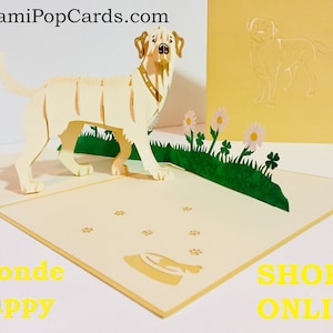 OrigamiPopCards.com - Blonde Puppy 3D Pop Up Card - Birthday Love Animal Dog Card Labrador Dog Birthday 3D Pop Up Cards Love Thank You Card