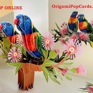 May include: A vibrant pop-up card depicting rainbow lorikeet parrots amidst pink flowers and green foliage. The card includes the text "SHOP ONLINE" and "OrigamiPopCards.com".