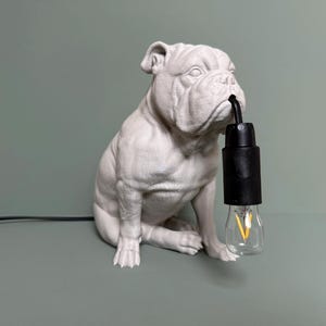 May include: White ceramic bulldog sculpture with a black cord and light bulb in its mouth. The sculpture is a table lamp.