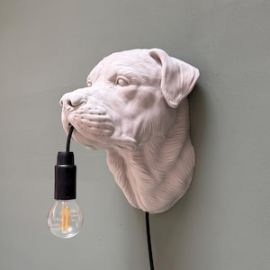 Può includere: Una lampada da parete raffigurante una testa di cane scolpita color bianco sporco. La bocca del cane tiene un cavo elettrico nero che scende verso il basso, terminando con un portalampada nero e una lampadina in vetro trasparente e rotonda.
