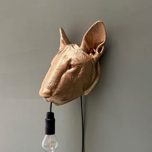 May include: A gold-colored Bull Terrier head wall lamp with a black cord and a clear lightbulb. The dog head is mounted on a wall, creating a unique lighting fixture. The lamp is a decorative piece.