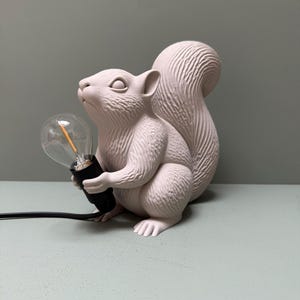 Può includere: Lampada a forma di scoiattolo rosa chiaro che tiene una lampadina. La lampada ha una superficie strutturata e un cavo nero. Lo scoiattolo è seduto con la coda arricciata. La lampadina è trasparente con un filamento arancione.