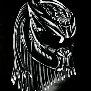 The Best Seller, Predator Helmet  White Line Margin Custom For Motorcycle Approved DOT & ECE