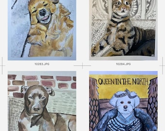 Customizable Pet Portraits