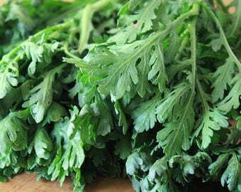 Crown Daisy, Tong Ho, Garland Chrysanthemums Seeds, Hạt Tần Ô