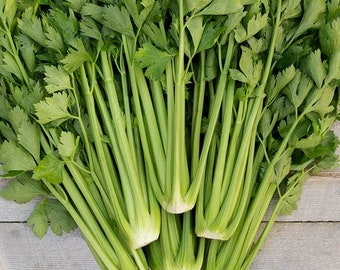 Celery Seeds - Hạt Cần Tây