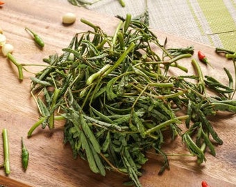 420+ Ong Choy Seeds - Rau Muong La TRE - Kong Xin CAI - Water Spinach Seeds - Organic, Non GMO, 99% Germination Rate - Made in USA, Vegetable for 420+ Ong Choy Seeds - Rau Muong La TRE - Kong Xin CAI - Water Spinach Seeds - Organic, Non GMO, 99% Germination Rate - Made in USA, Vegetable for