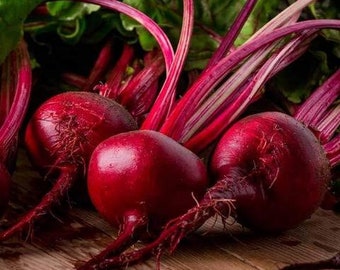 Dark Red Beetroot Seeds - Hạt Củ Dền
