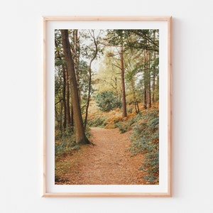 Herbst Wald Fotografie Druck | Herbst Bäume | Landschaft Poster | Natur Poster | Art Poster | Natur Wand Kunst | Herbstliche Wanddeko