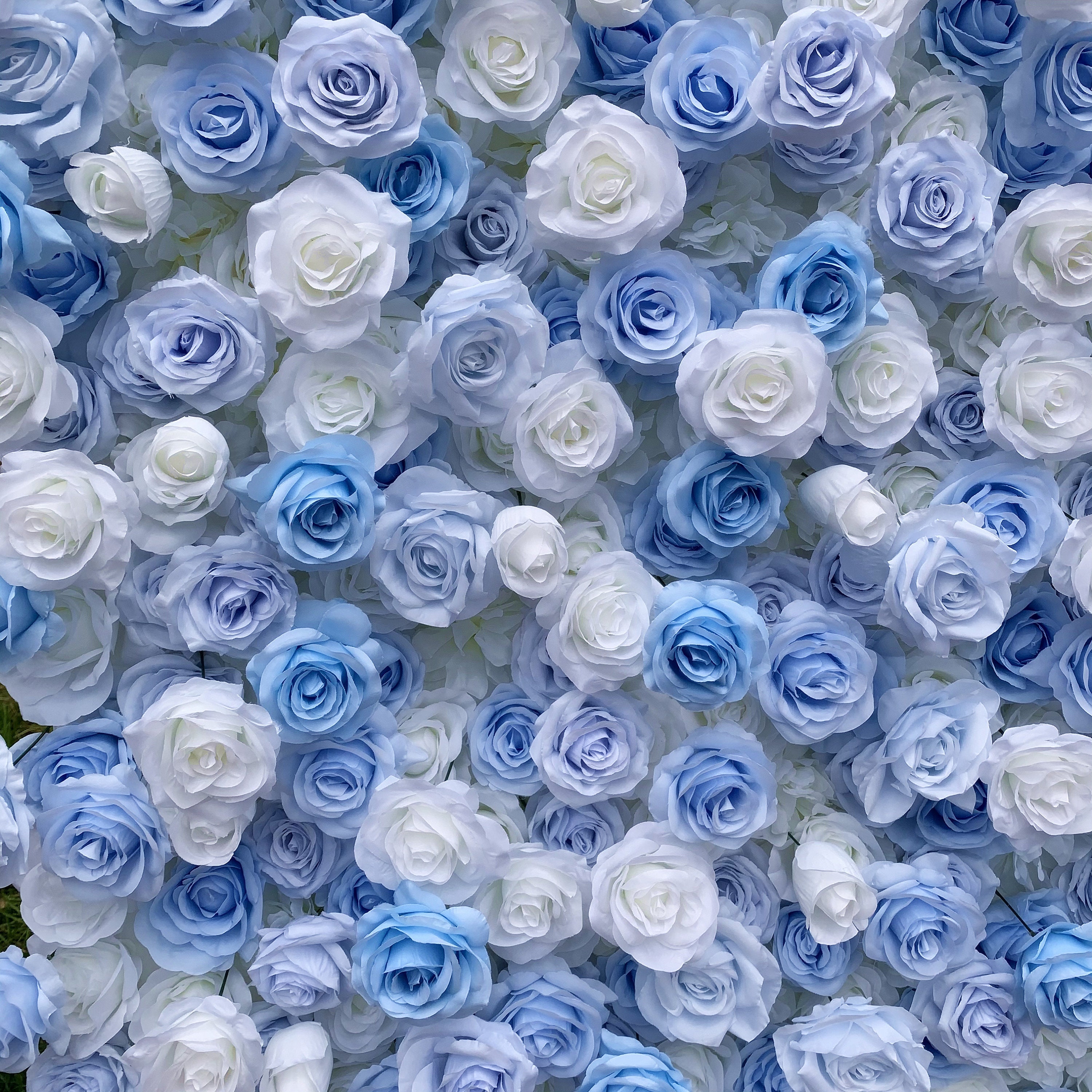 Cinderella Blue Flower Wall Backdrop Wedding Party Photo Booth Decor Cinderella Blue Flower Wall Backdrop Wedding Party Photo Booth Decor