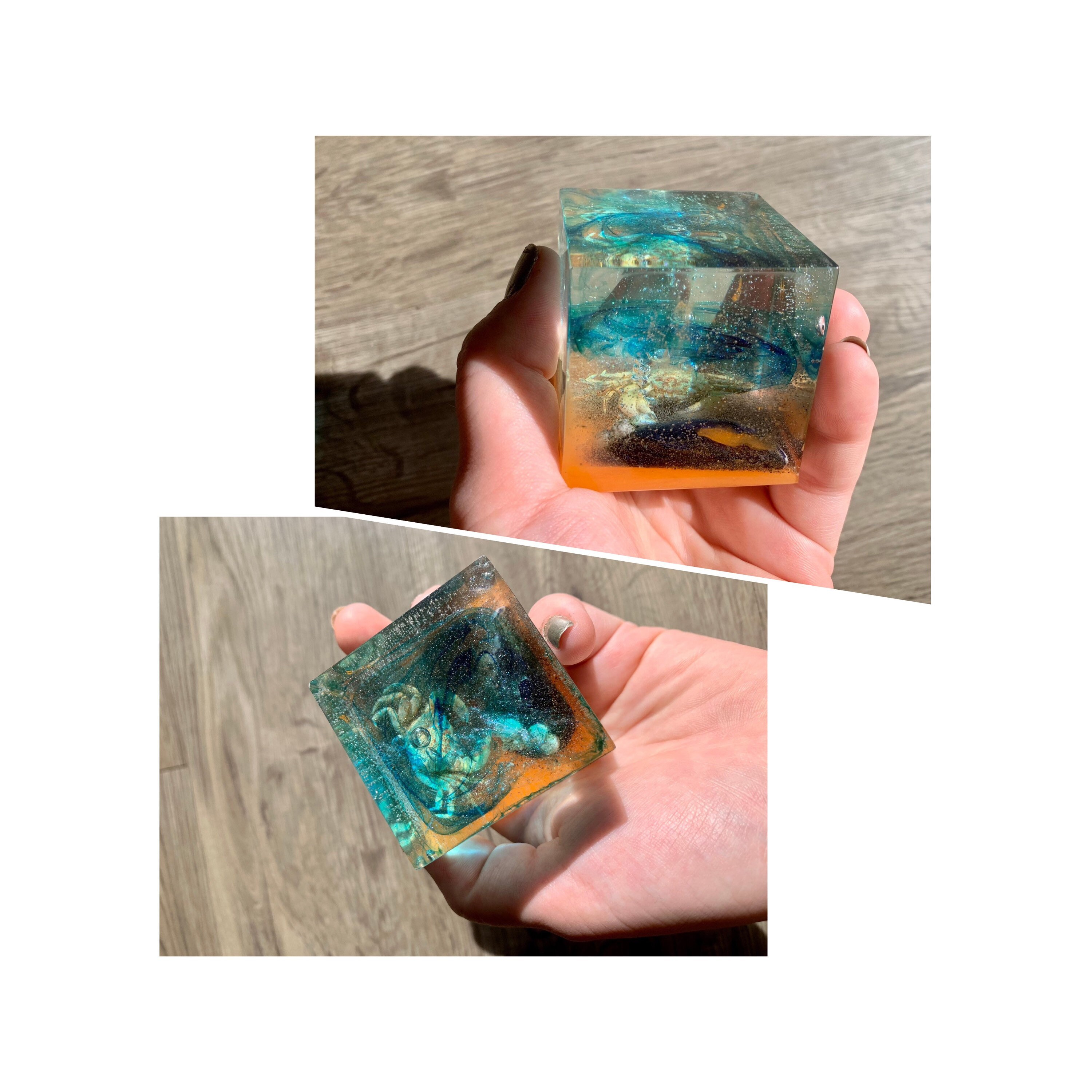 Resin cube with a preserved crab Etsy