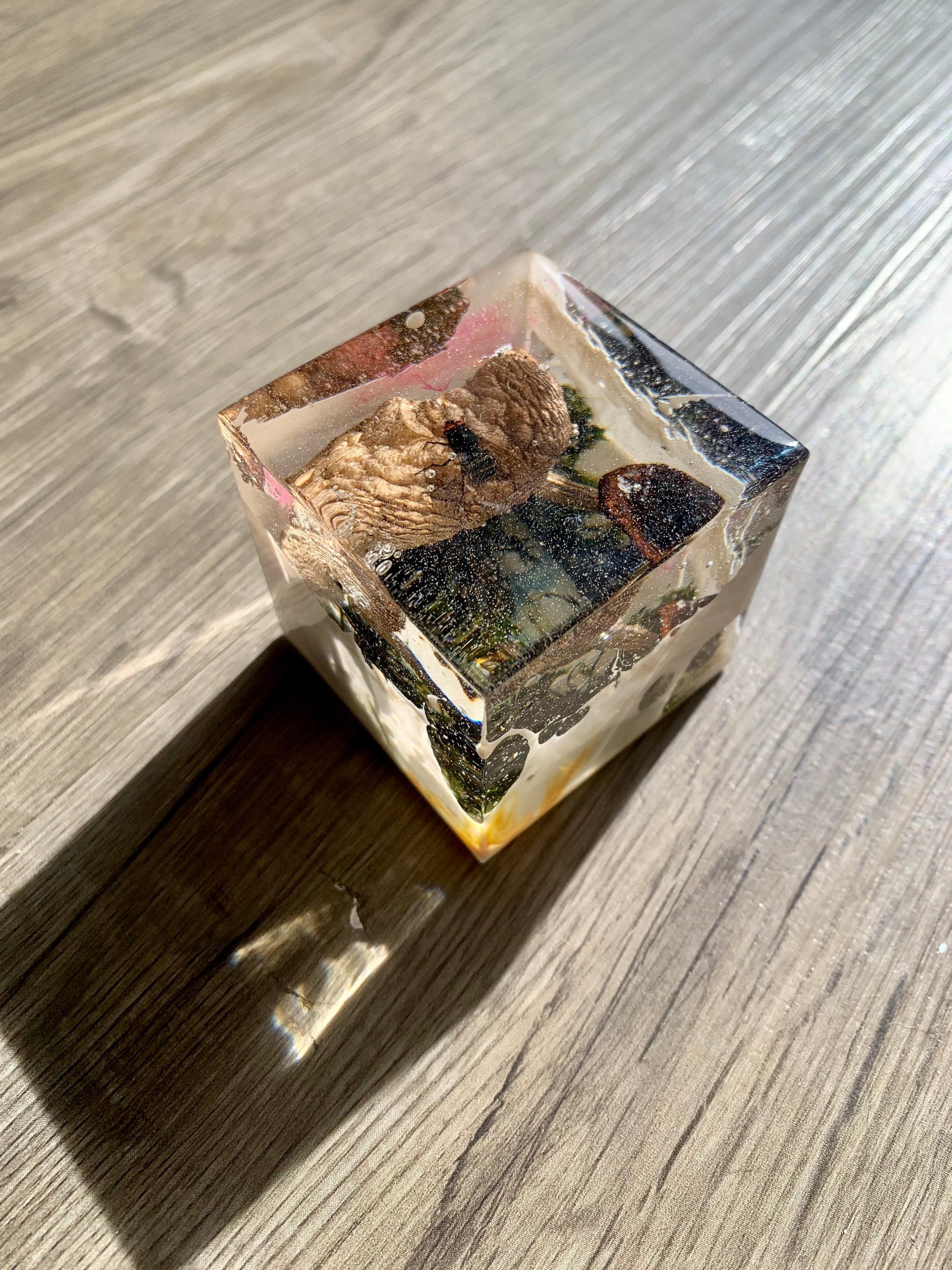 SOS RESINA UV - Colorazione E Asciugatura - Foto 5