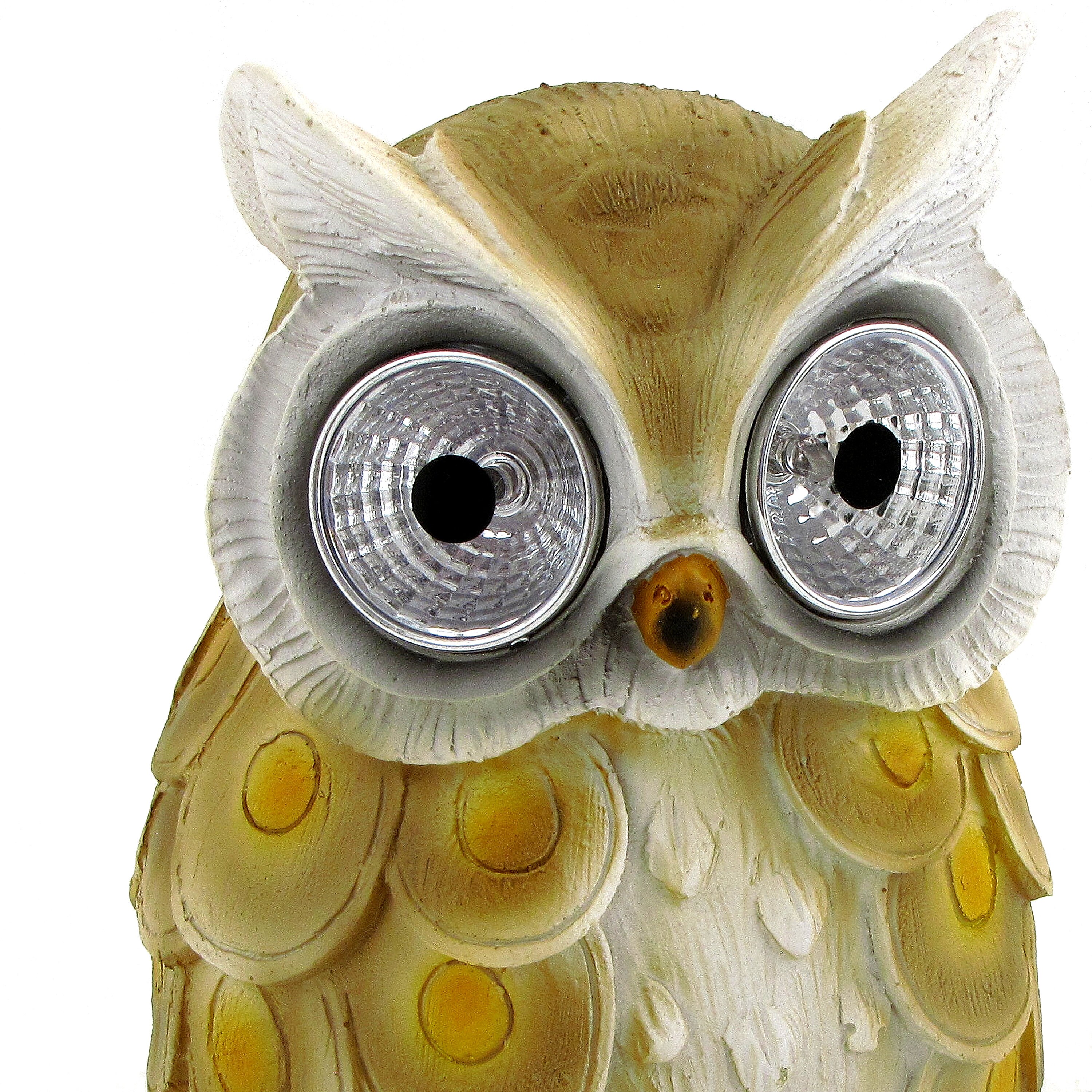 Set of 3 Assorted Owls with LightUp Solar Eyes Etsy