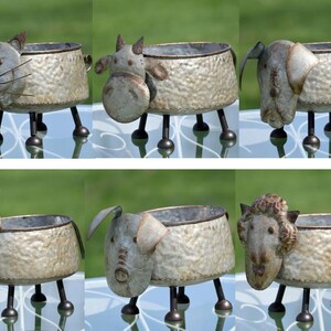 Galvanized Animal Planters- 6 Styles Available